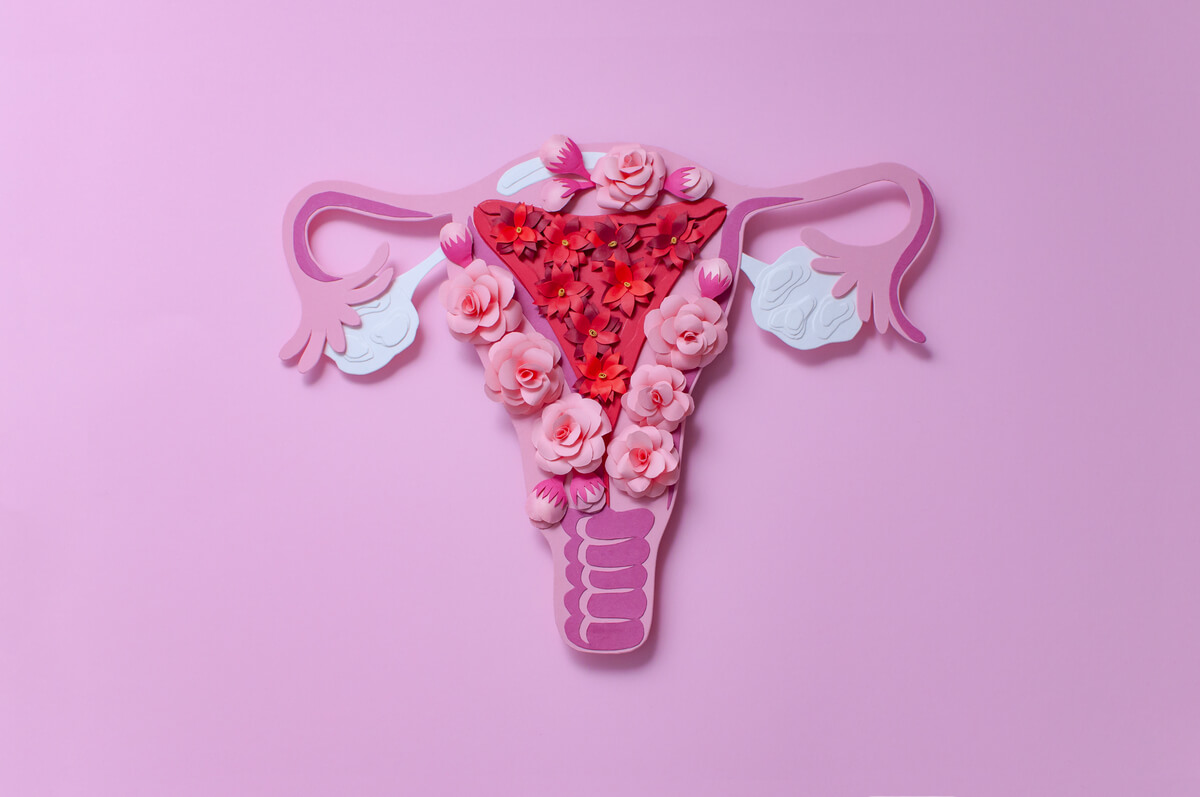 Understanding the Risks and Realities of Progesterone Therapy