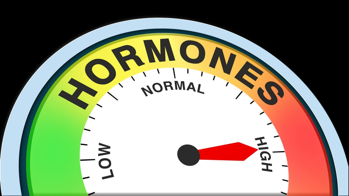 Do Testosterone Levels Fluctuate Naturally
