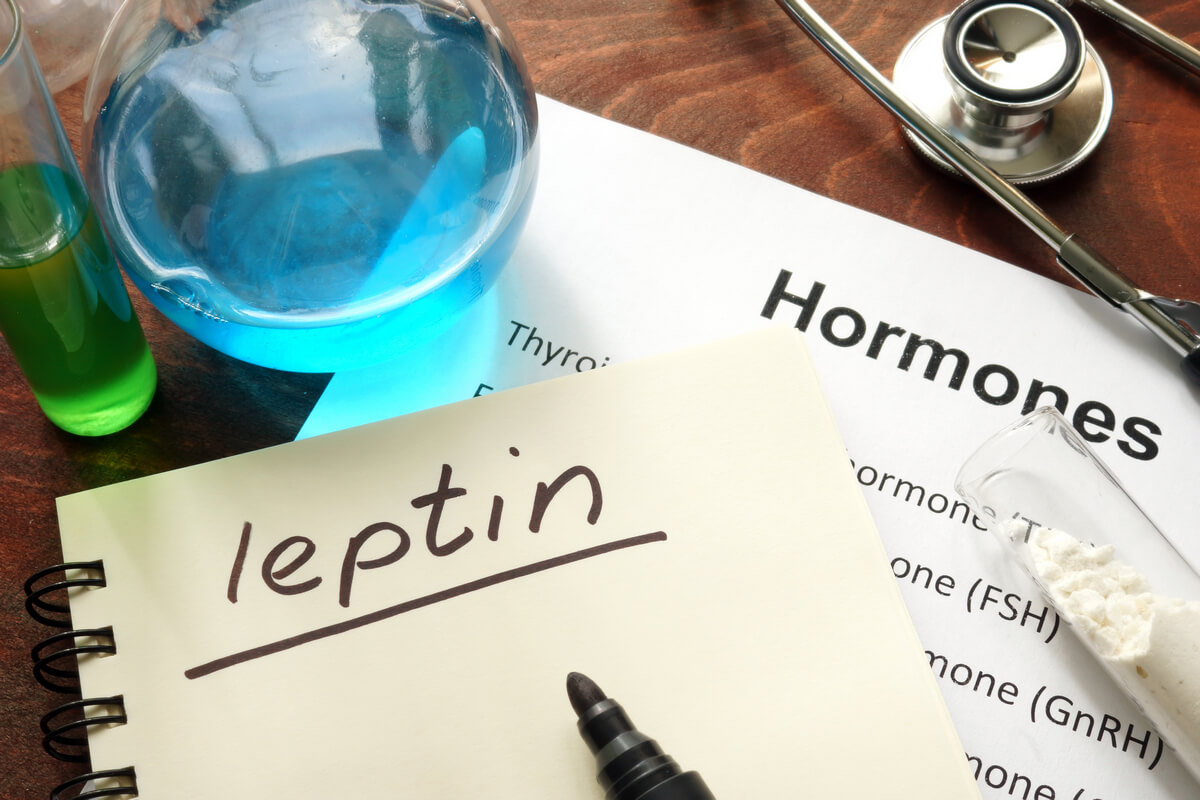 The Connection Between Hormones and Weight Loss