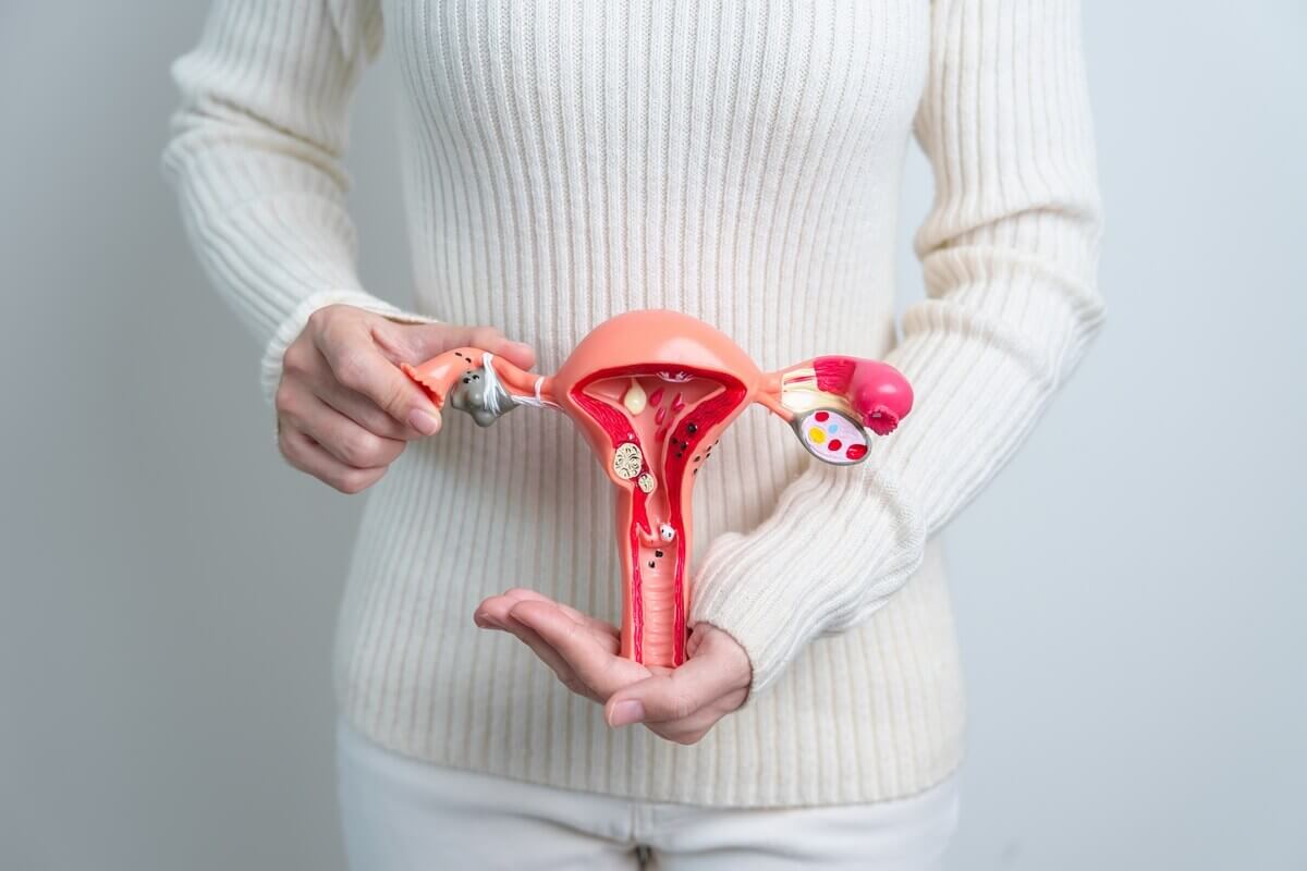 Endometriosis, HRT, And Menopause Options And Safety