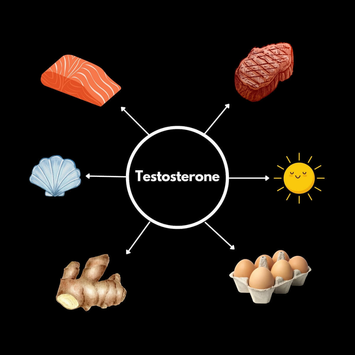 Does Red Meat Increase Testosterone